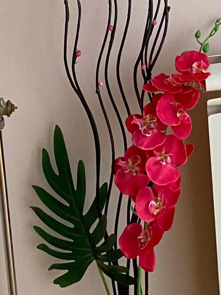 Apartment Orchid 021 โนวีซาด ภายนอก รูปภาพ