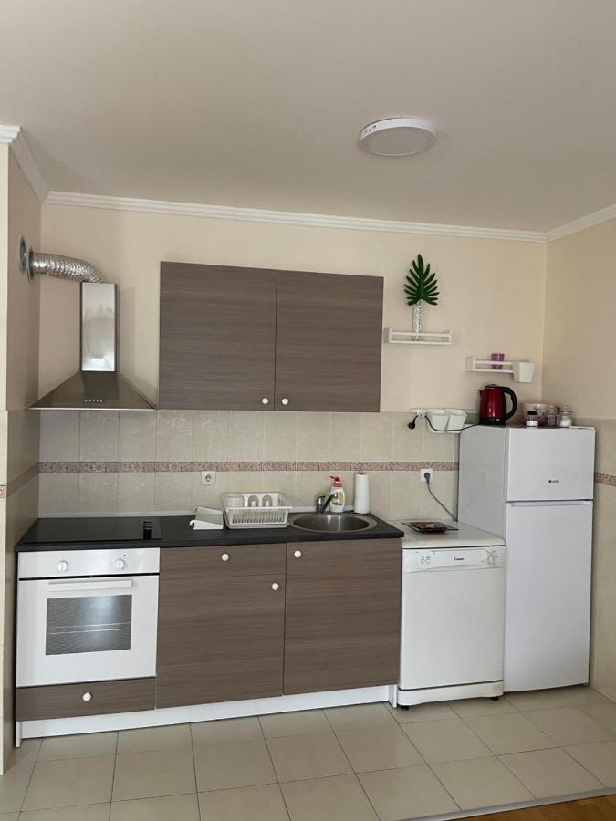 Apartment Orchid 021 โนวีซาด ภายนอก รูปภาพ