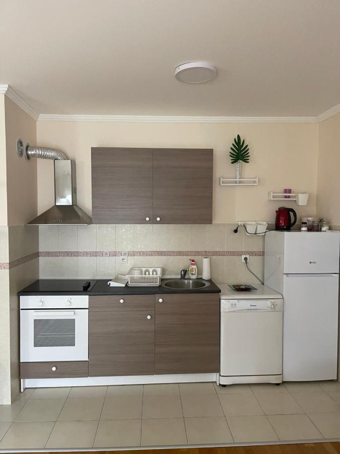 Apartment Orchid 021 โนวีซาด ภายนอก รูปภาพ